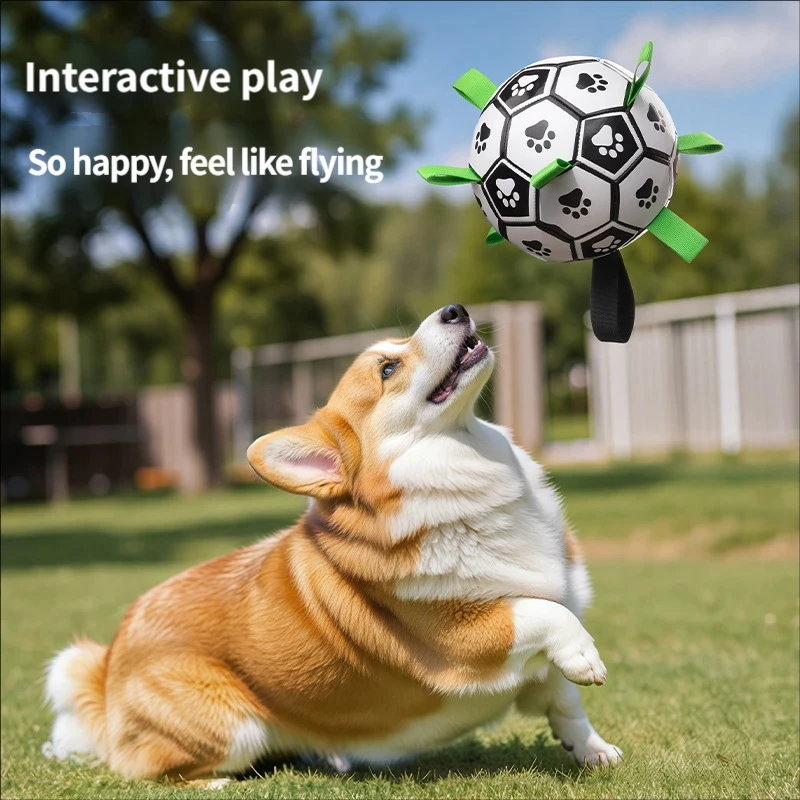 Damaly,Interactive Dog Soccer Toy with A Grip Ring, Durable Water Ball for Dogs, Dog Chasing and Playing Toy, Without Battery