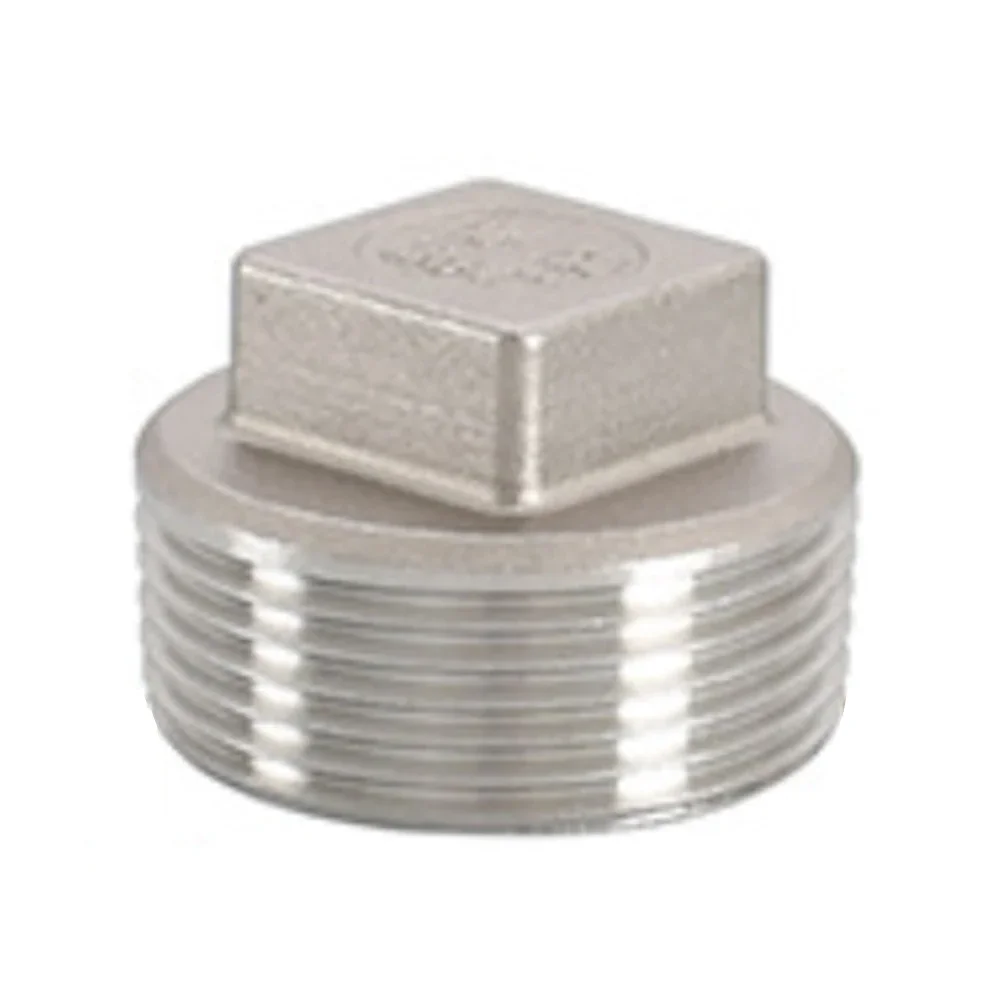 DN25 DN32 DN40 DN50 DN65 DN80 DN100 Stainless Steel Wire Plug Outer Screw Plug Inner Screw Water Pipe Plug Square Head