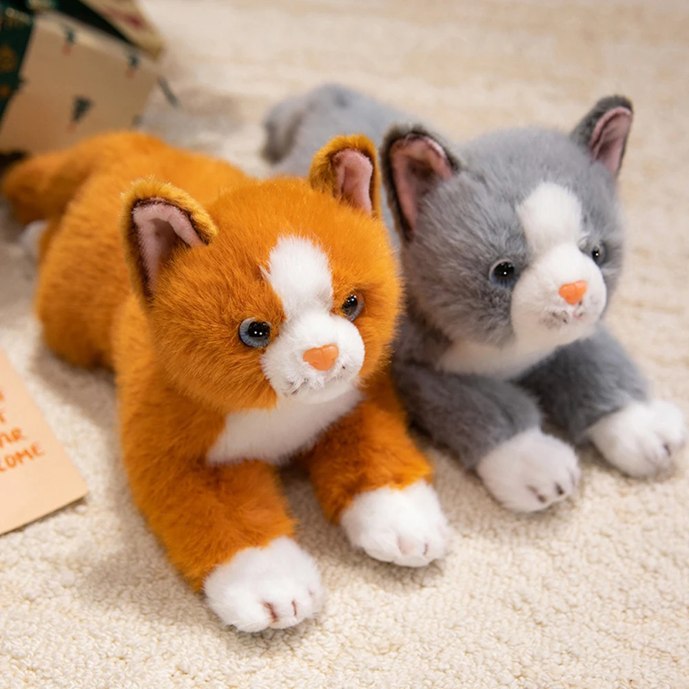 35 سنتيمتر رقيق البرتقال القط محشوة مزرعة الحيوان عناق الأسود كيتي القط ألعاب من القطيفة دسم القط دمى لينة عناق بلوشي يعرض