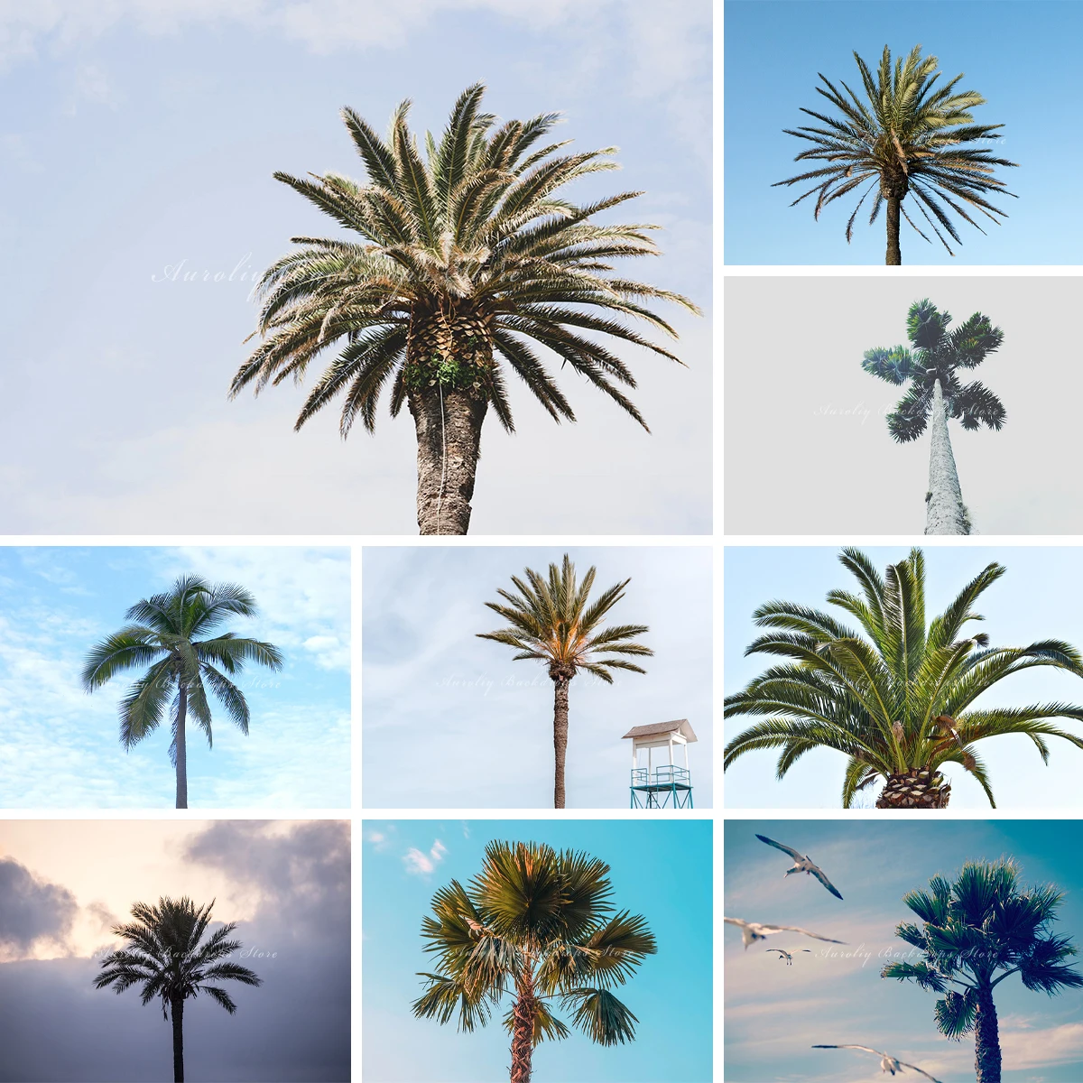 

Tropic Palm And Coconut Trees Backgrounds Kids Adult Photography Props Child Baby Summer Beach Photo Backdrop