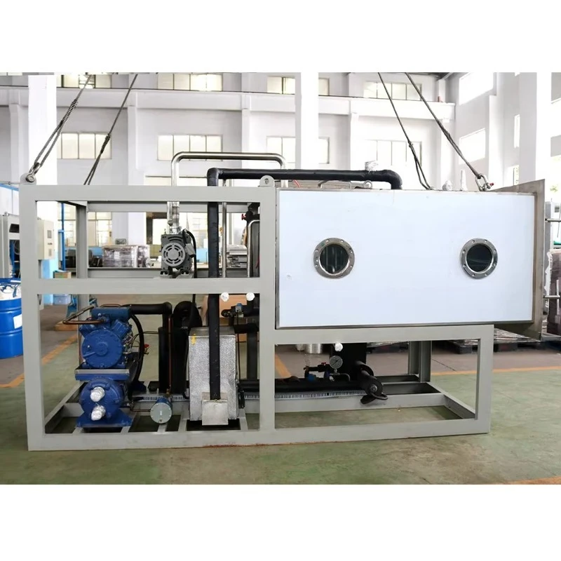 Customized Freeze Dryer Machine Industrial Lyophilizer Automatic Commercial Meat Fruits Food Vegetable Dryer Vacuum Drying