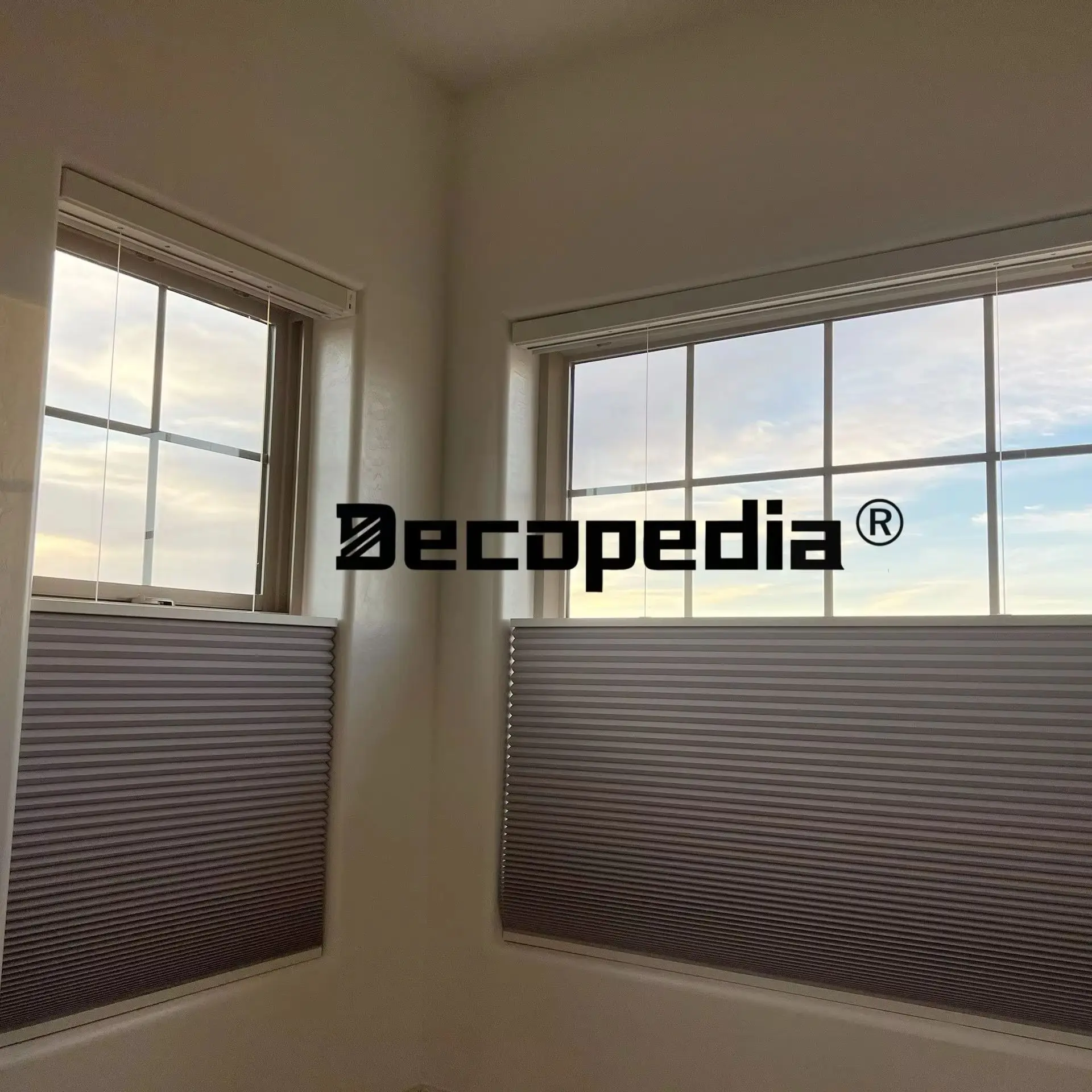 Decopedia Top Down Bottom Up Cellular Shades Blackout Smart Motorized Honeycomb Blinds for Windows Google Alexa Matter TDBU