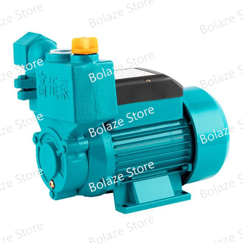 Self Priming Pump Multifunction Booster Small Water Filtration Systems Equipment DC 12V 24V 48V 60V