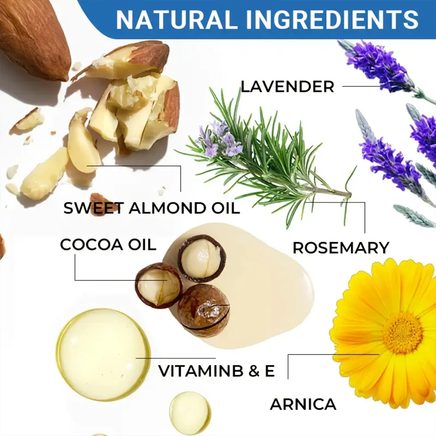 كريم العصبي المائي آيس ليفين القصوى - مع المكونات الطبيعية (أرنيكا، Msm، الألوة) للترطيب المكثف لمدة 72 ساعة #5