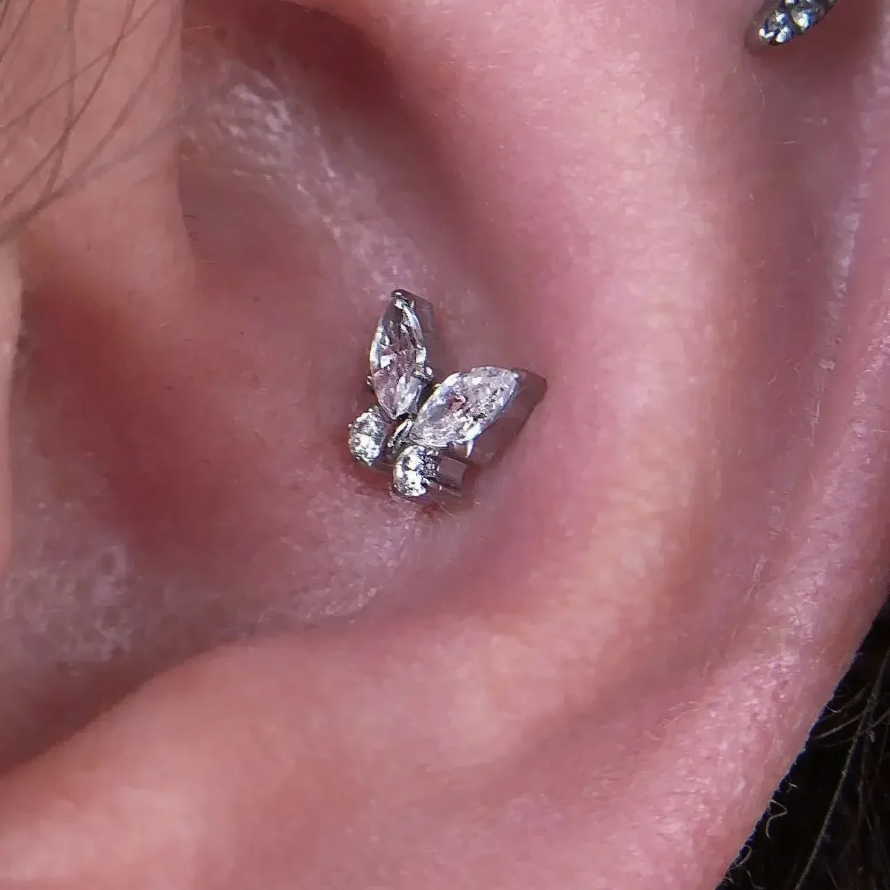 مجوهرات ثقب الجسم من التيتانيوم ، فراشة مثيرة ، خيط داخلي ، شفة ، أنف ، أذن ، غضروف ، زركون ، أنثى ، 16 جم ، 18 جم ، ASTM F136 ، 5A #5