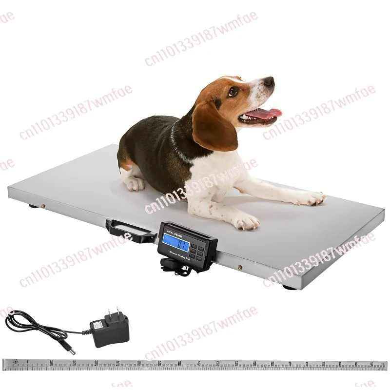 300KG BB Equipment Live Animal Scale High Precision Chicken Digital Weighing Scales