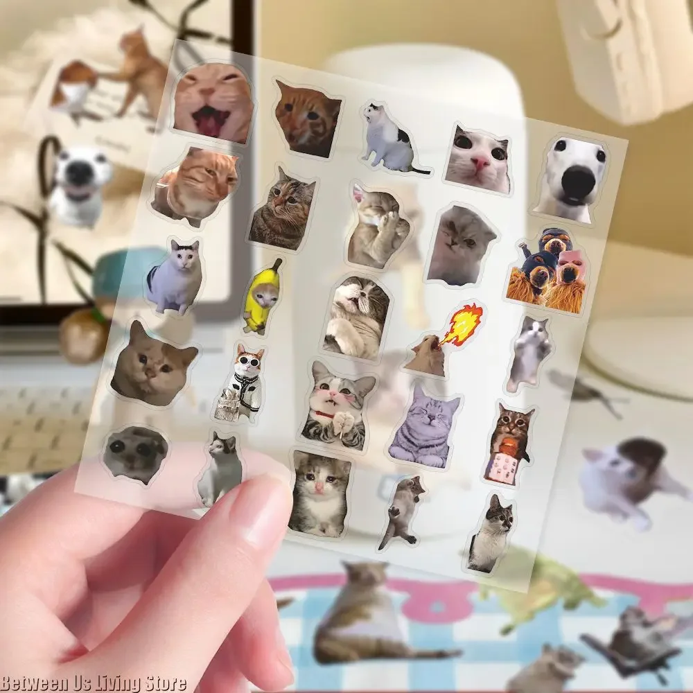 101PCS Cat Meme Stickers - Waterproof Translucent Funny Decals for Journals, Planners & DIY Crafts!