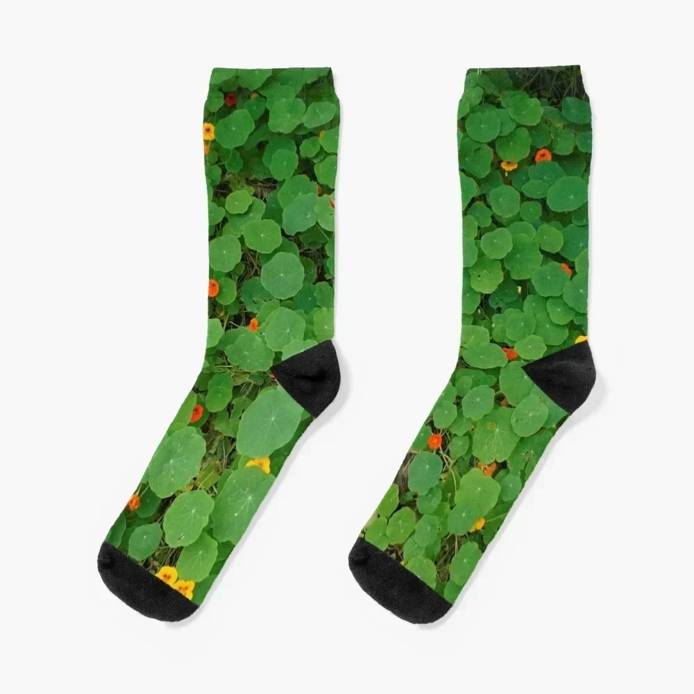 

Nasturtium mat and flowers Socks Children's Men's custom sports luxe Male Socks Women's