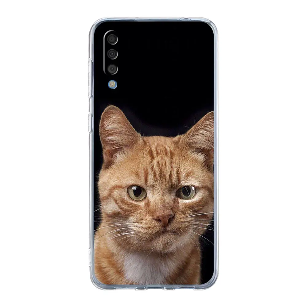 Cartoon Cute Cats Background Phone Case For Samsung Galaxy A52 A50 A70 A10 A30 A40 A20S A20E A02S A12 A22 A72 A32 5G A04s Cover