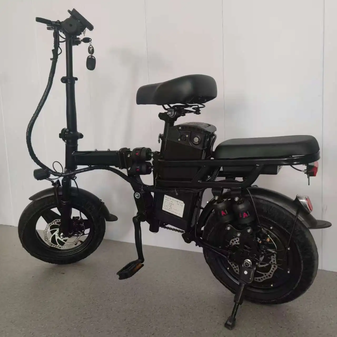 Electric Bicycle Carbon Steel Frame Foldable Electric Bike Electric Scooters for Adults
