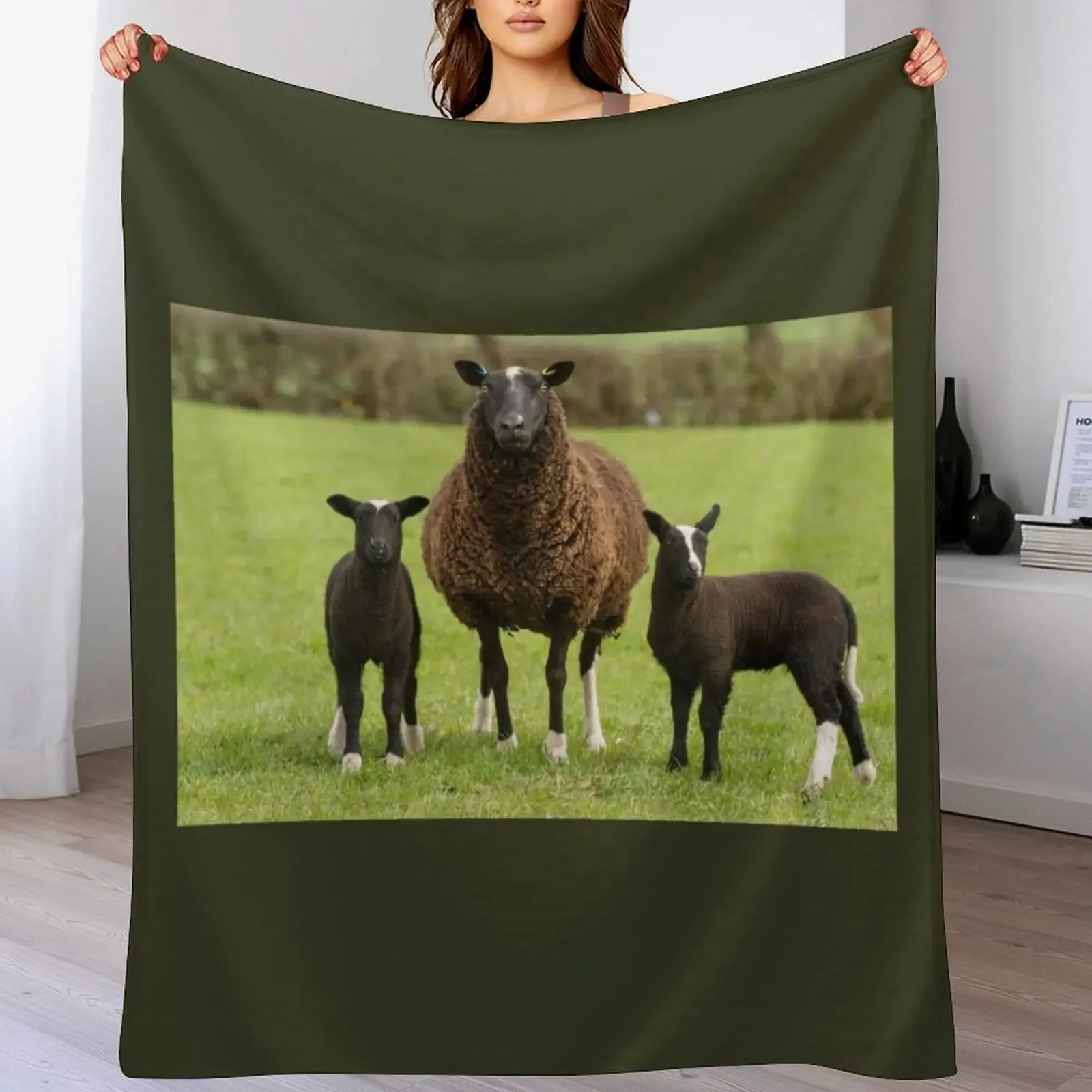 Zwartbles Sheep and Lambs Throw Blanket Compact Warm Blanket for Car Road Trip