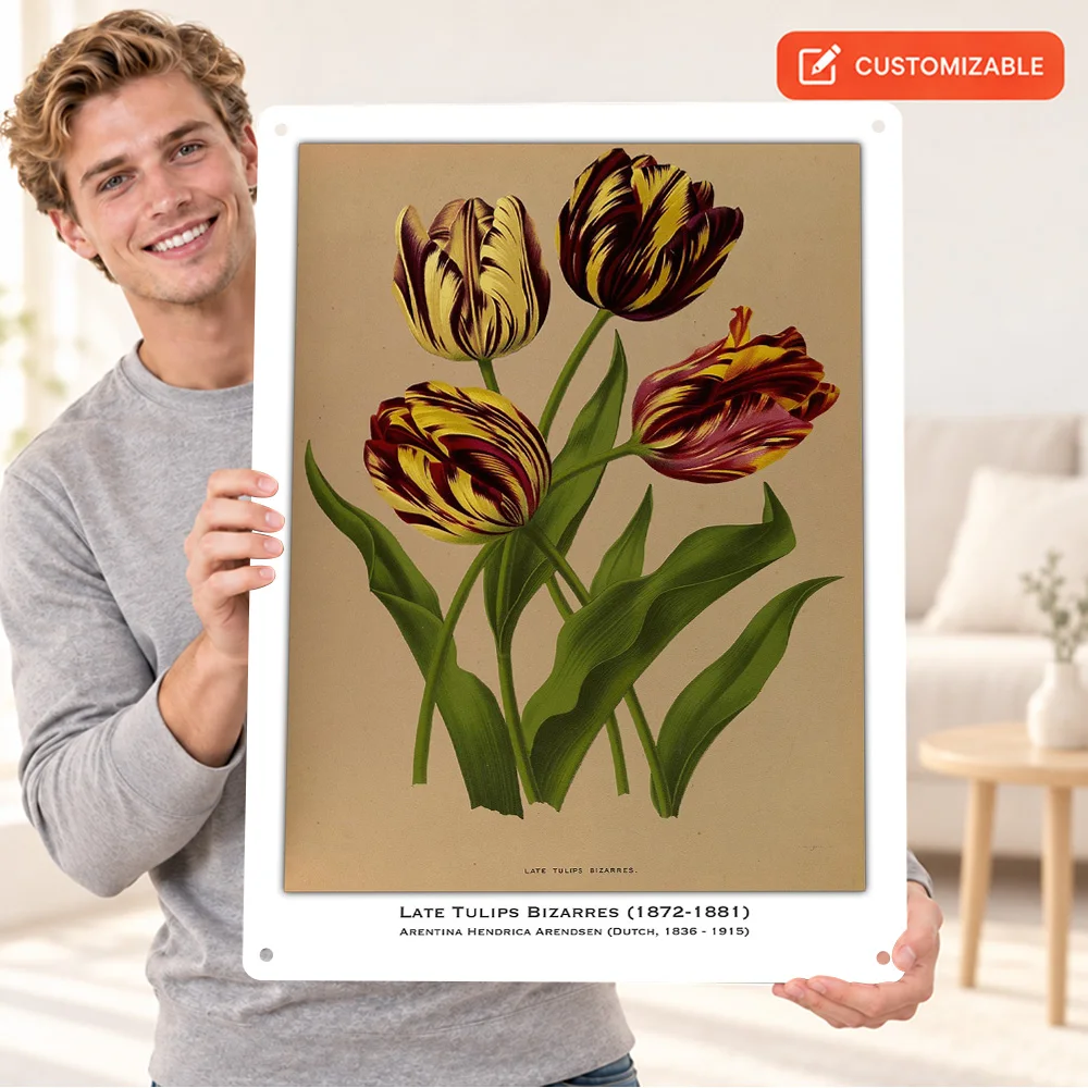 Late Tulips Bizzarres Botanical Illustration Aluminum Poster Bold Design Bedroom Wall Art Customized Metal Sign Collector Gift