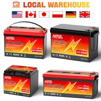 US Stock LiFePO4 Lithium Battery 12V 24V 50Ah 100Ah 300Ah Built in BMS Iron Phosphate Pack For RV Campers Solar Golf Carts