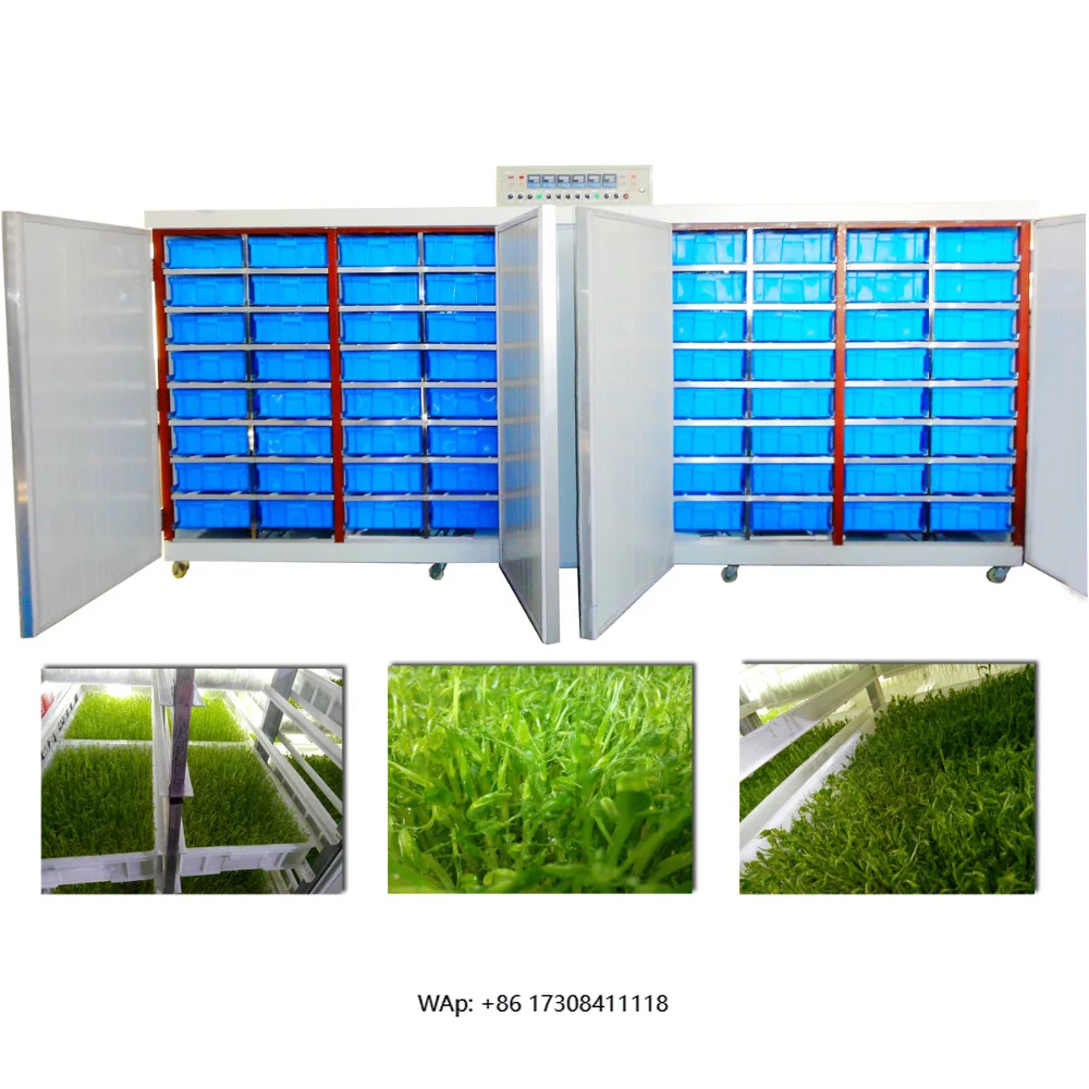 Small Equipment Hydroponic Trays Grass Fodder Growing Machine Automatic Seeder High Efficiency Easy Operation