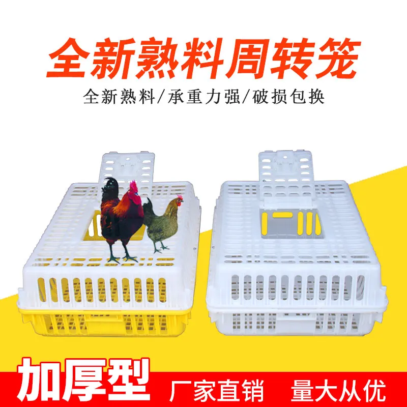 New thickened plastic chicken cage turnover basket transportation cage chicken duck pigeon cage rabbit dragon