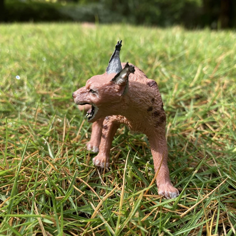 현실적인 동물 장난감 모델 긴 꼬리 산 표범 고양이 수지 피규어 홈/오피스 장식 수집 장난감 어린이 조기 교육