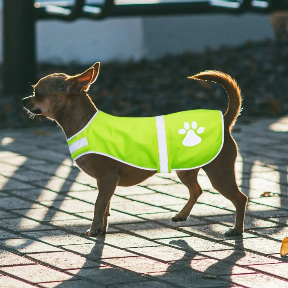 Adjustable Dog Reflective Vest New Fluorescent High Visibility Dog Jacket Protect Your Puppy Outdoor Dog Clothes