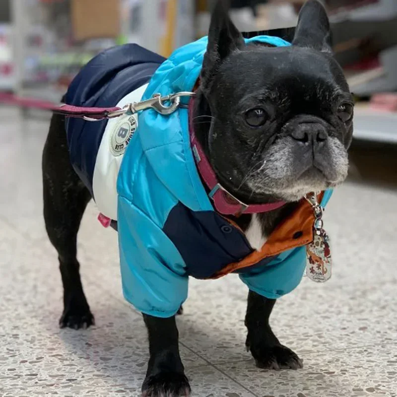 Dog Jacket Waterproof and Warm Hoodie, French Bulldog Cotton Jacket, Yorkshire Jumpsuit