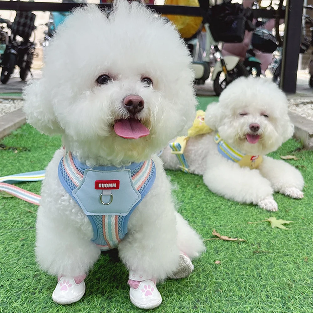 ชุดสายจูงสุนัขแบบปรับได้ ไม่รั - No Pull Dog Harness บทวิจารณ์และราคา