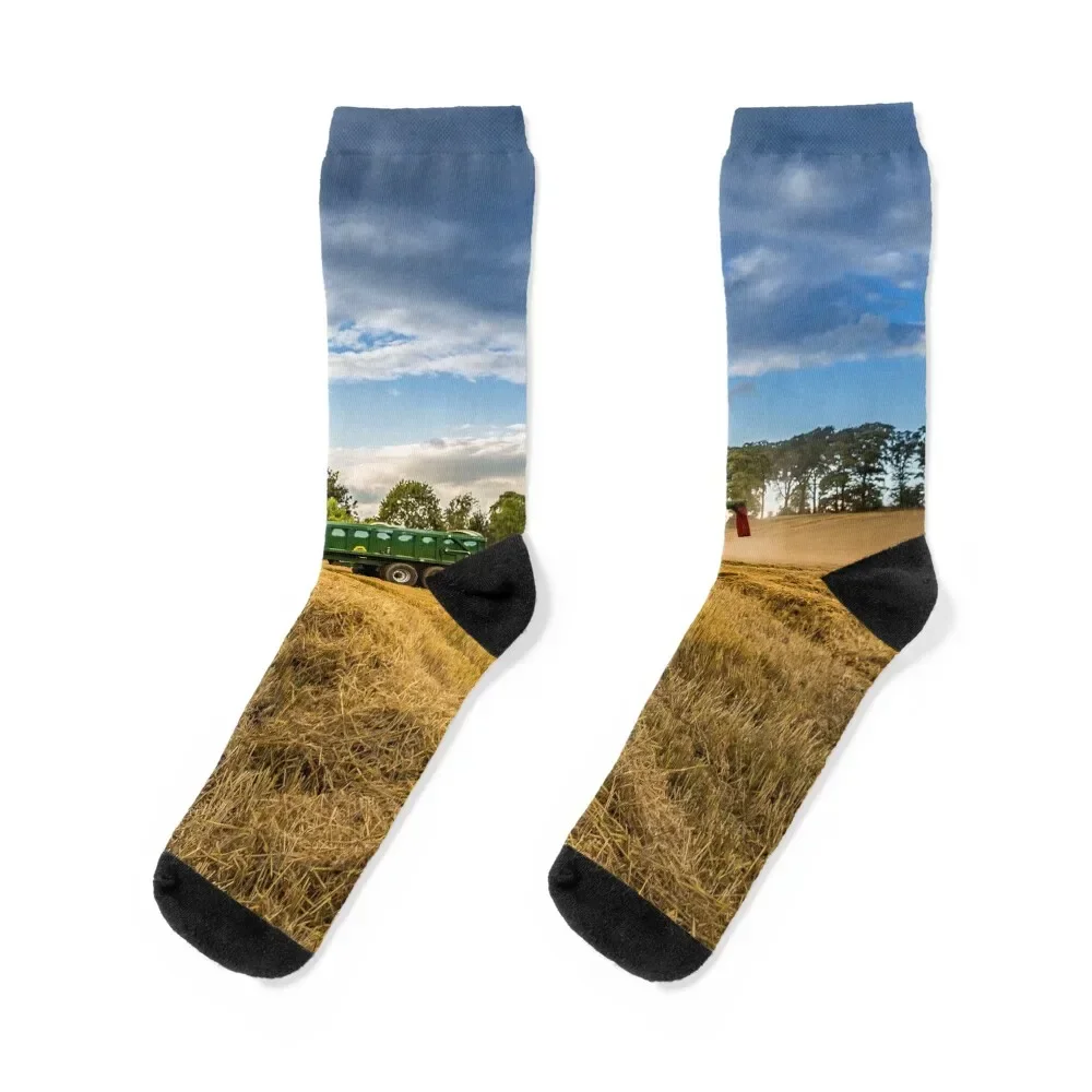 

Hay time Socks christmass gift professional running Men's Socks Luxury Women's