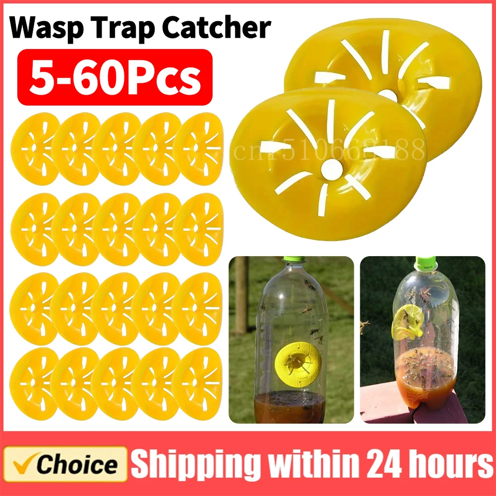 

60-5Pcs Reusable Wasp Trap Insect Funnel Killer Flower Bee Hornet Catcher Plastic Bottle Wasp Traps Garden Pest Control Tool