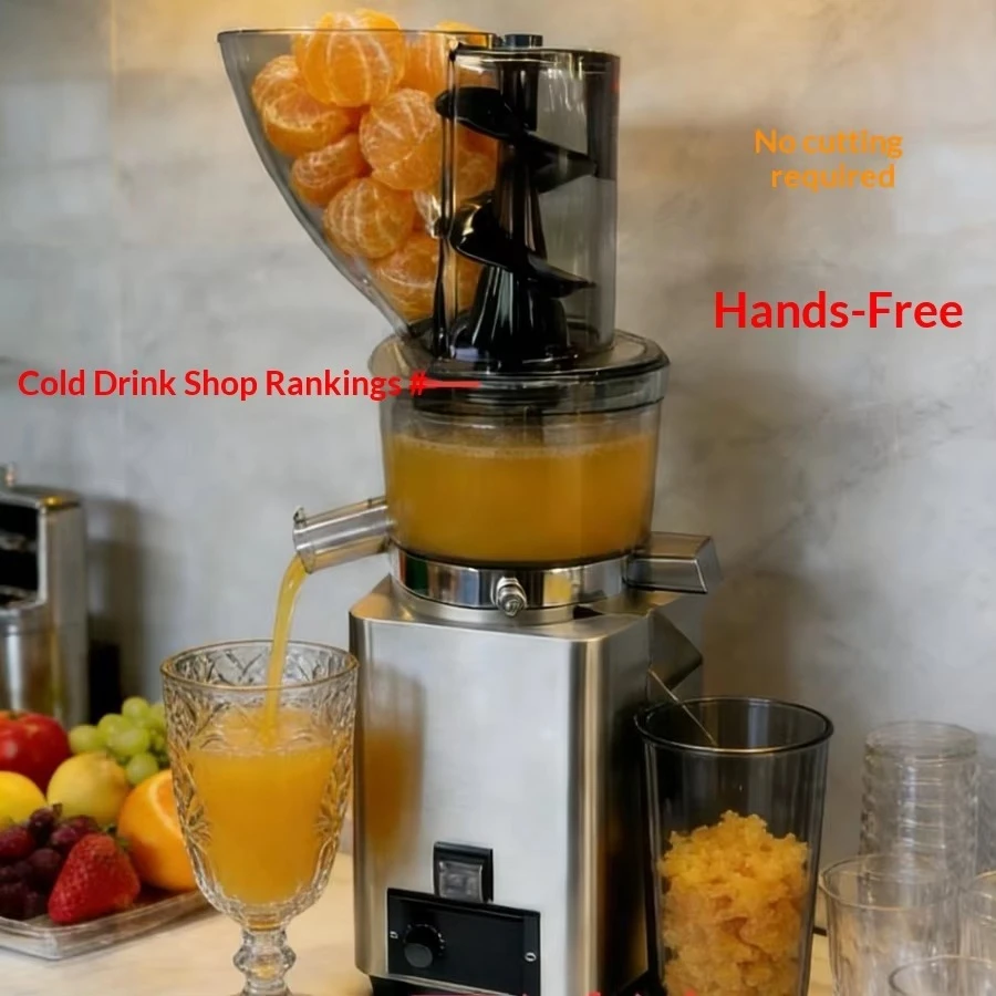 Machinery Cold Press Juicer 600W Fully Automatic Electric Multifunctional  Fruit and Vegetable Juicer