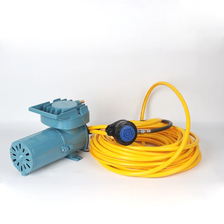 Portable 12V Electric Dive Compressor Customizable Mini Scuba Diving Pump with Diaphragm Structure Low Pressure