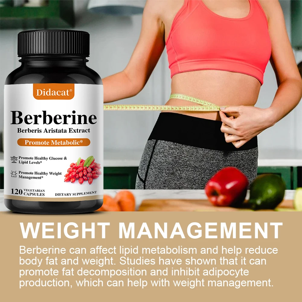 Berberine 500 Mg Dietary Supplement - Metabolism, Healthy Weight Management, Circulatory Health, Blood Lipids, Blood Sugar