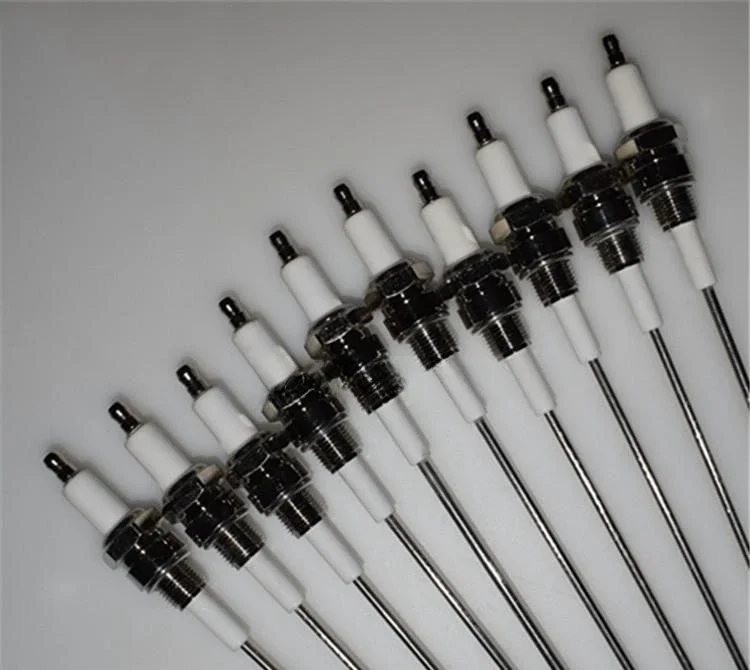 High Quality Gas Industrial Furnace/Lgnition Needle/Spark Plug Aluminum Liquid/Liquid Level Probe/Kiln Exploration