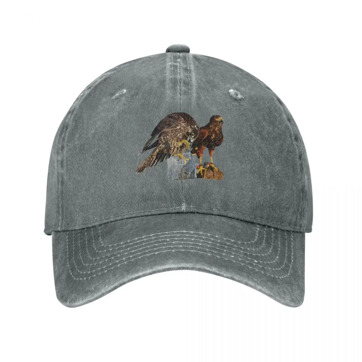 Peregrine Falcon and Harris's Eagle Baseball Cap Wild Ball Hat black Baseball Men Women's