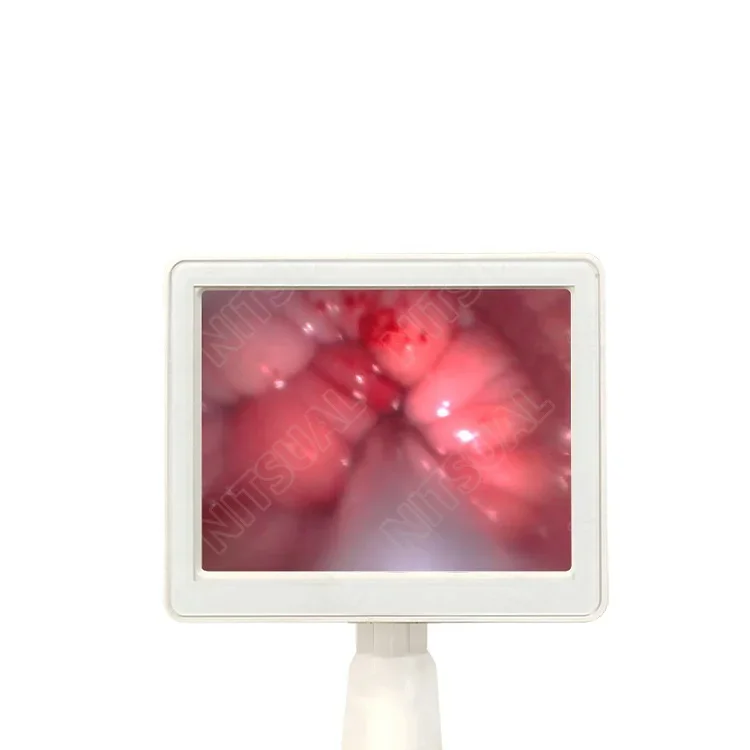 NC31 Handheld AI Artificial Insemination Device Cattle Cow Dog Canine TCI Gun for Progesterone Breeders