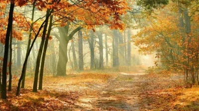 

For MJX Hyper Go 20208 1/20 Mini Monster Truck Replacement Body Shell - Original Factory Spare Part