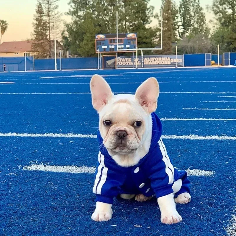 Hooded Pet Tracksuit 5