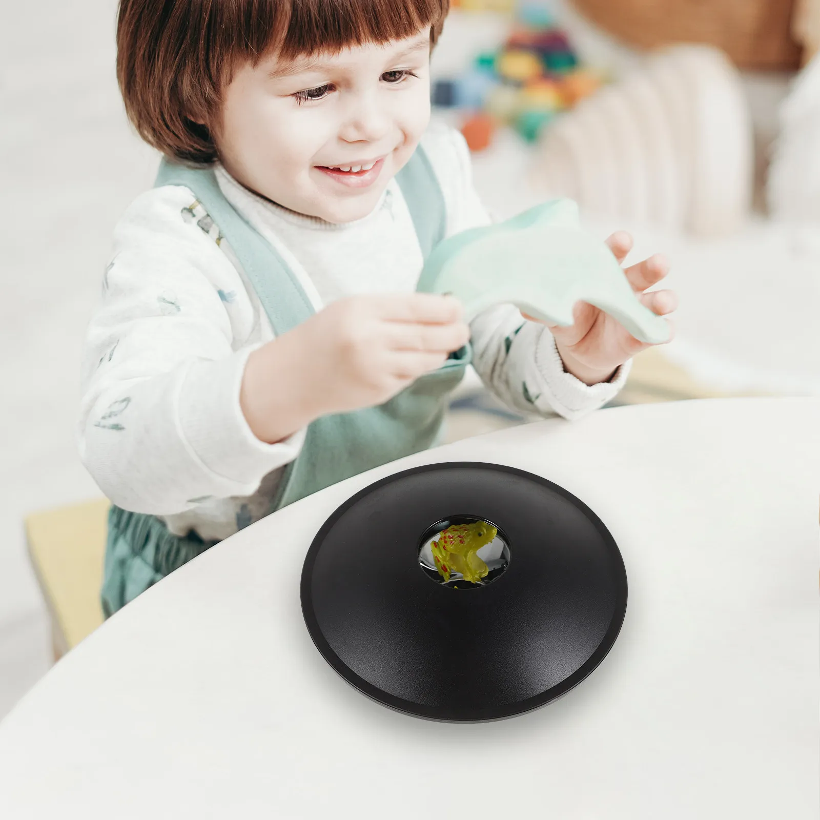 Kit de Experimentos Científicos Educativos para Crear Hologramas Instantáneos con Proyección de Imágenes 3D, Rana, Mariquita