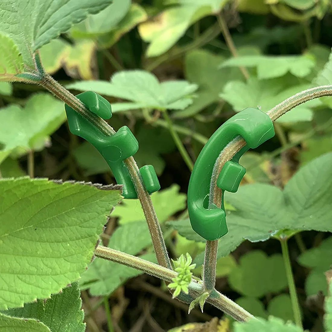 Pinzas de 90 grados para entrenamiento de bajo estrés, 36 piezas, pinzas LST para enrejados de plantas, Kits de crecimiento