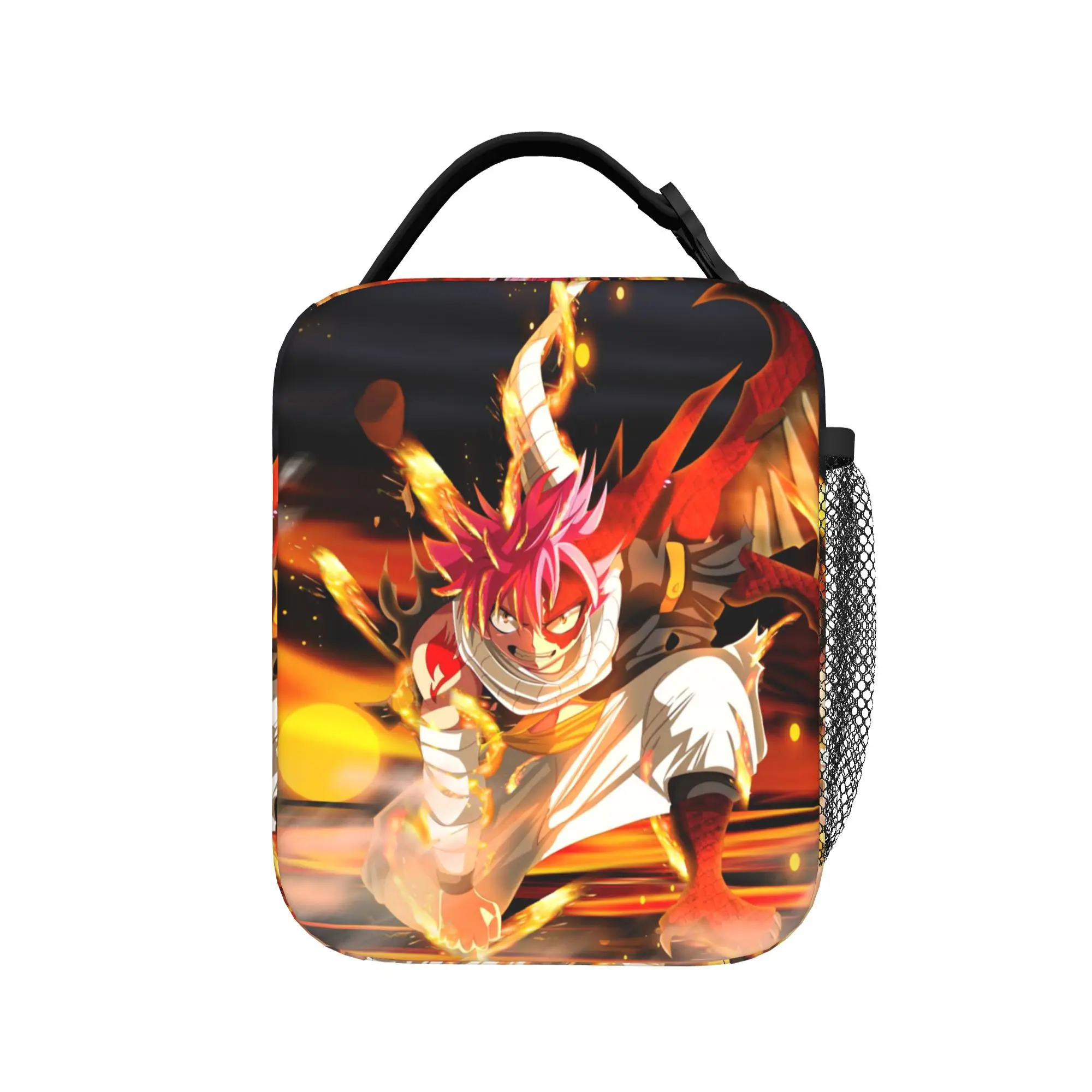 Fairys Tails Insulated Lunch Bags Cooler Bag Reusable,Meal Container Anime Leakproof Lunch Box Tote Bento Pouch