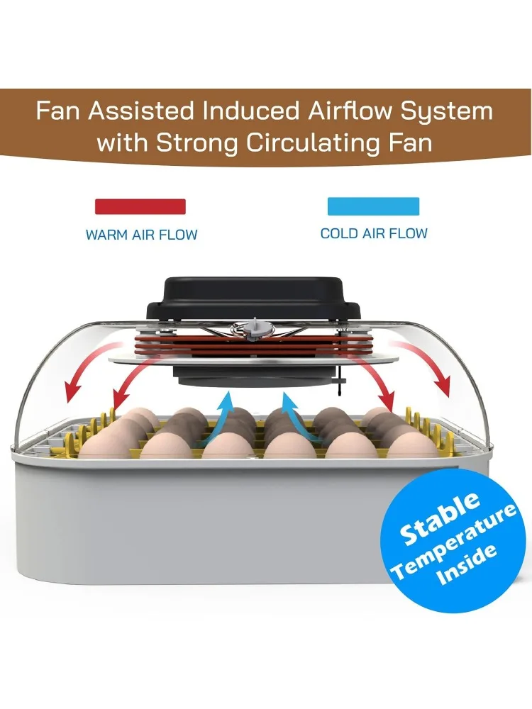 30 Egg Incubator with Humidity Display, Egg Candler, Automatic Egg Turner, for Hatching Chickens