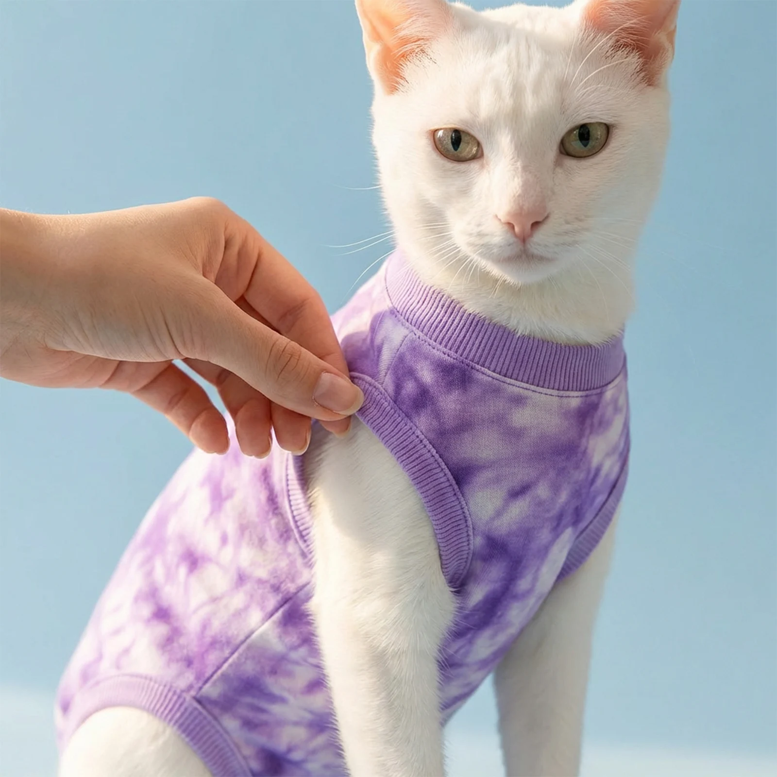Breathable Cat Recovery Suit For Spay Abdominal Wounds Kitten Onesie For After Surgery Doggie Surgery Recovery Suit Anti Licking