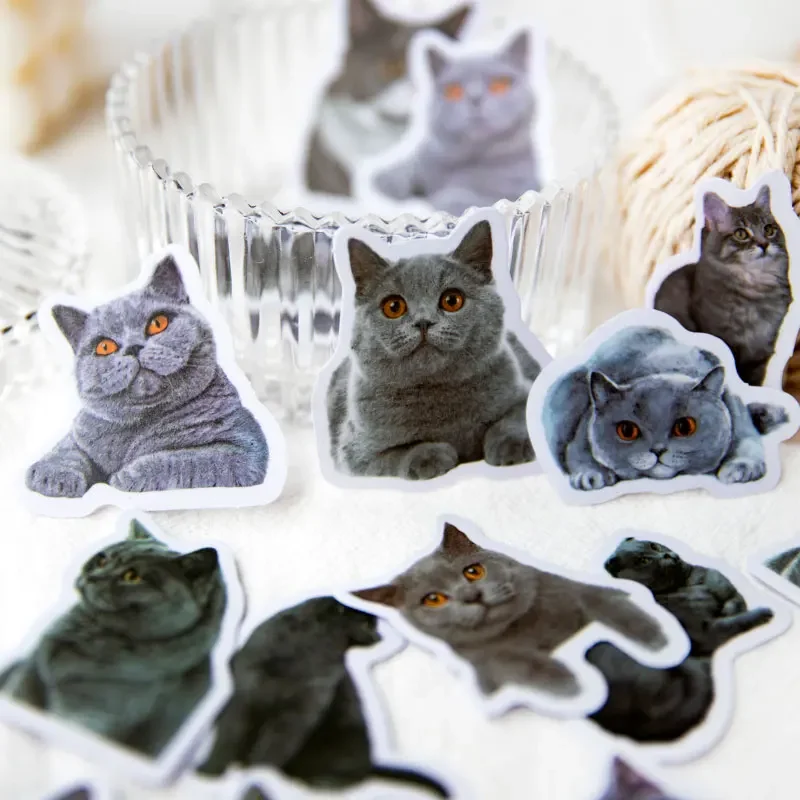 30Pcs Cat Sulfuric Acid Paper Decorative cute Stickers Diary Supplies Scrapbooking backing DIY package handmade 125*85MM