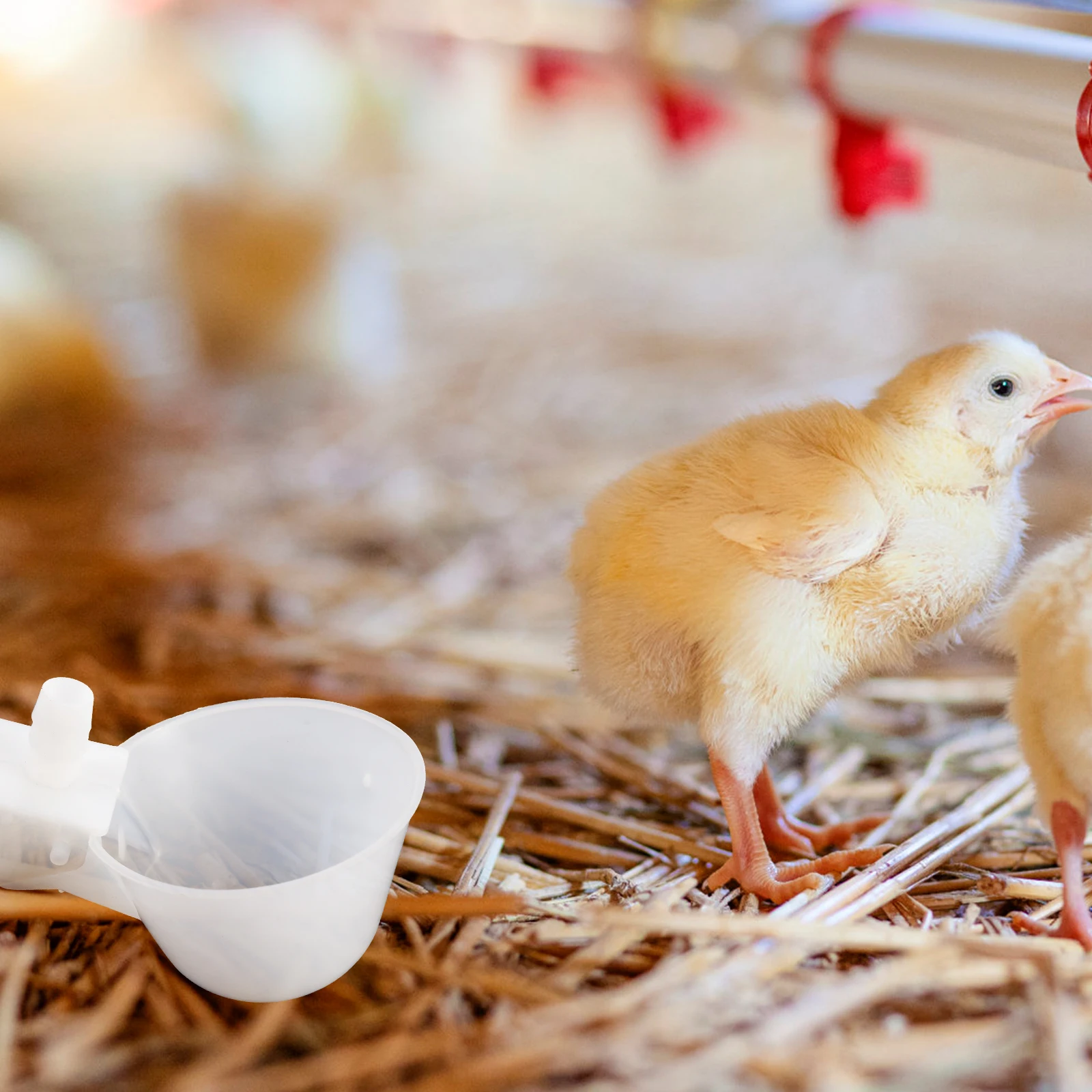 

10 set Automatic 9.5MM Top Inlet White Pet Bird Chicks Cage Water Feeder Water Feeder Cage Tool Durable Plastic