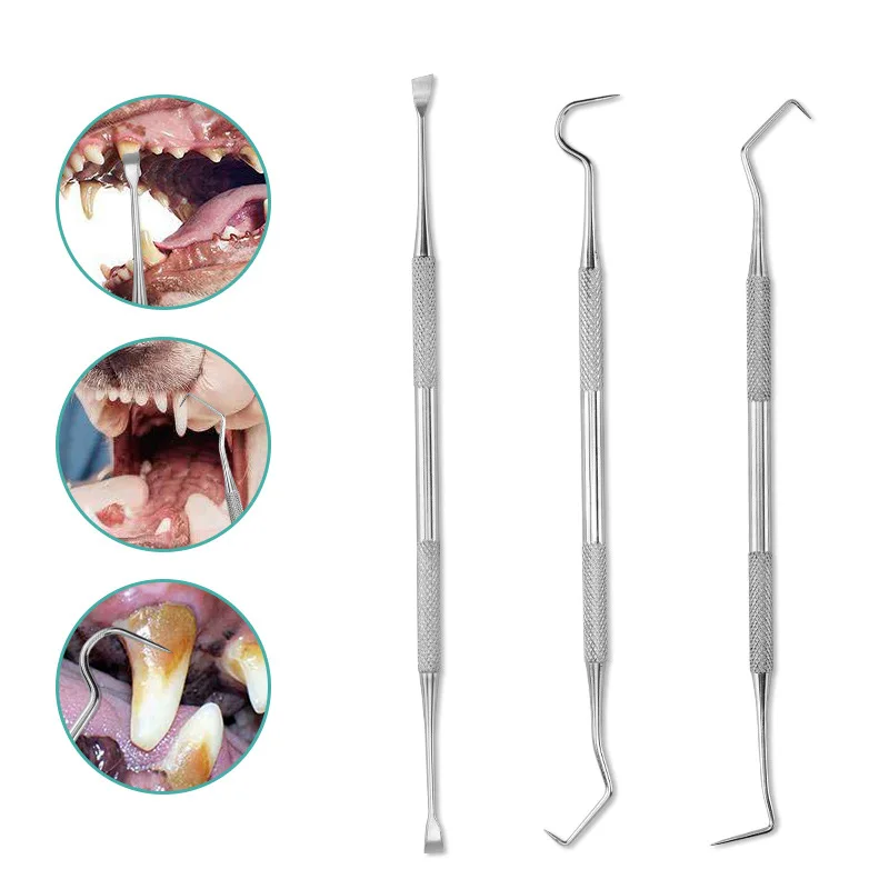 Stainless Steel Double Ends Dentist Teeth Clean Hygiene Explorer Probe Hook Pick Dental Tartar Scraper Remover Tooth Care Tool