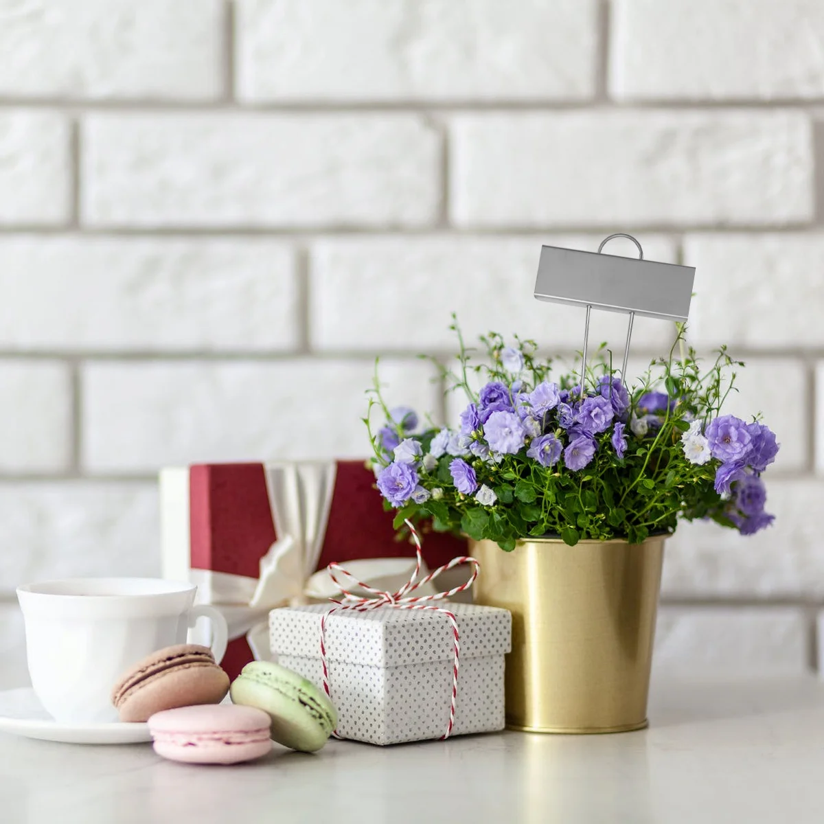 

10pcs Stainless Steel Plant Tag Metal Insert Bonsai Topper Waterproof Gardening Label Rustproof Lightfast For Kids Garden