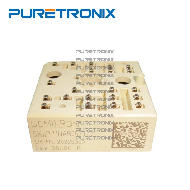 SKIIP11NAB063T1 SKIIP11NAB063T42 Modul Daya