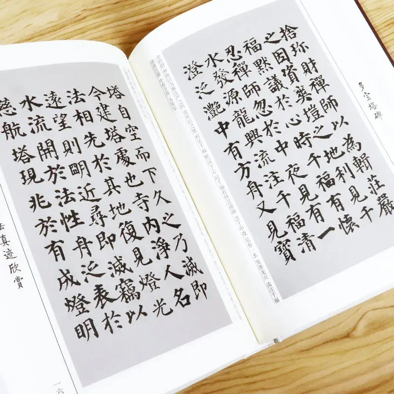 Chinese Famous Calligraphier Collection Copybook Original Inscription Calligraphy Appreciation Chinese Caligrafia Brush Copybook
