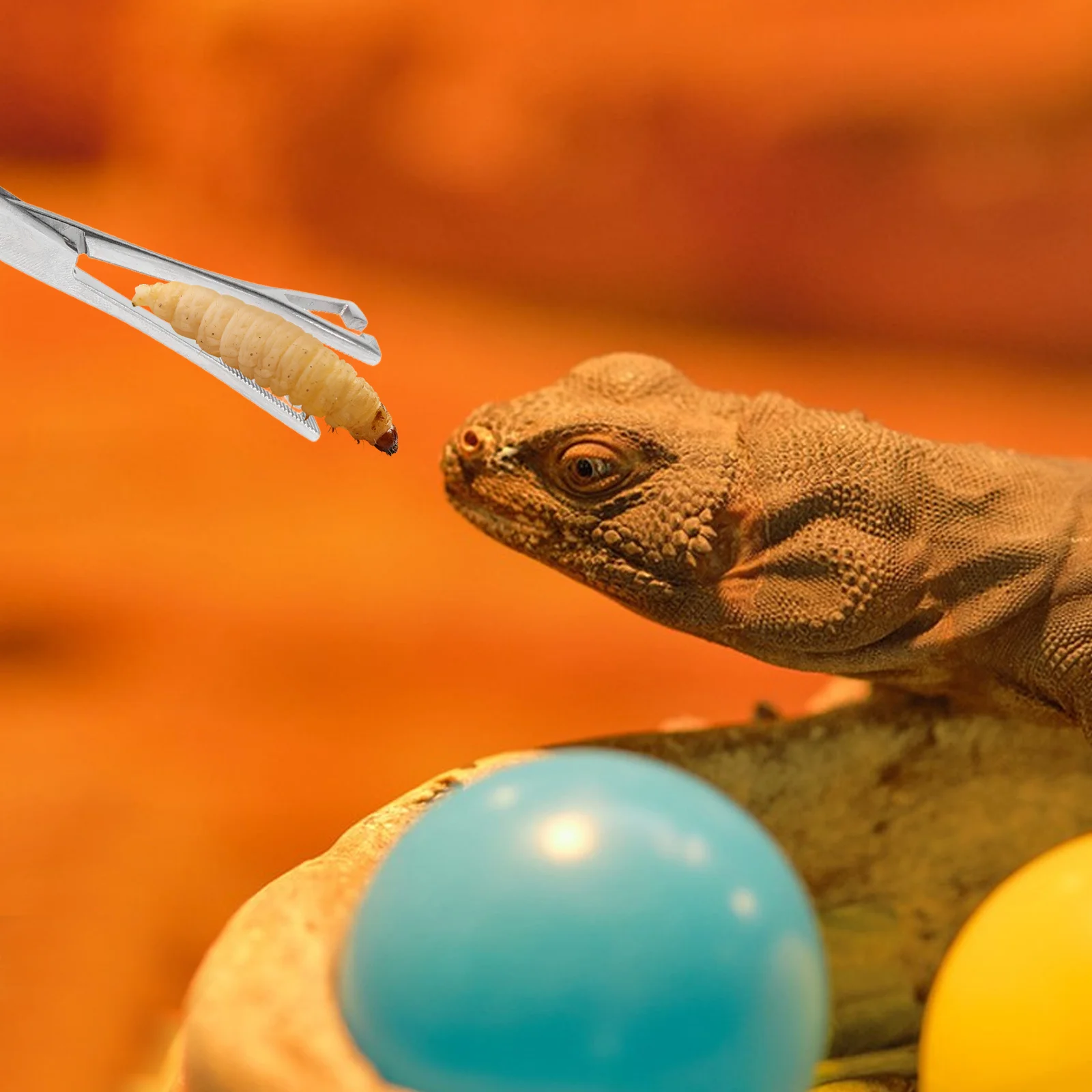 

Stainless Steel Reptile Feeding Tongs Long Handle Ergonomic Snake Lizard Tweezers Feeding Tools Terrarium Clamp