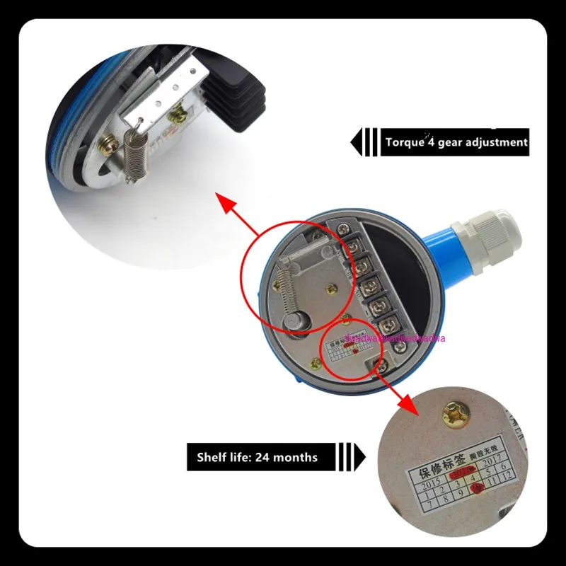 RS-10 RBA مزدوج تحمل المقاومة مفتاح مستوى المواد الدوارة مقياس مستوى المواد 220 فولت مفتاح المستوى #3