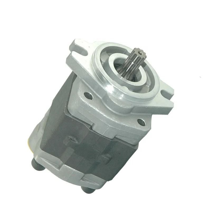 

Custom Hydraulic Pump SGP Series High Pressure Gear Oil Pump And Hydraulic Gear Pump For Machinery