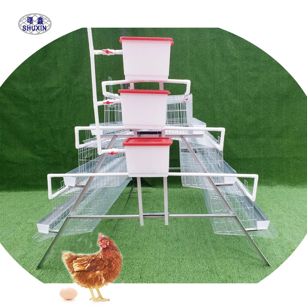 First Choice A Type Fully Automatic Egg Layer Chicken Cages with Automatic Drinking Water System in Kenya for Farms