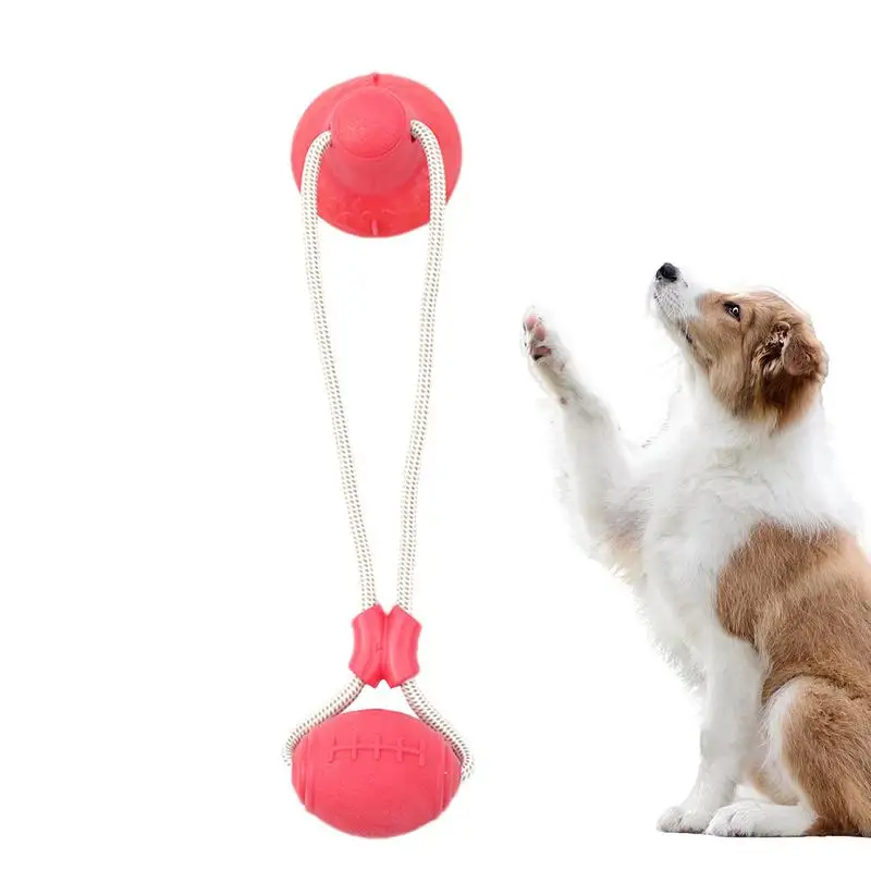 

Suction Cup Dog Toy Tug Of War Automatic Dog Toy Dog Tug Toys Teething Chew Toy Dog Boredom Games Boredom Busters For Garden