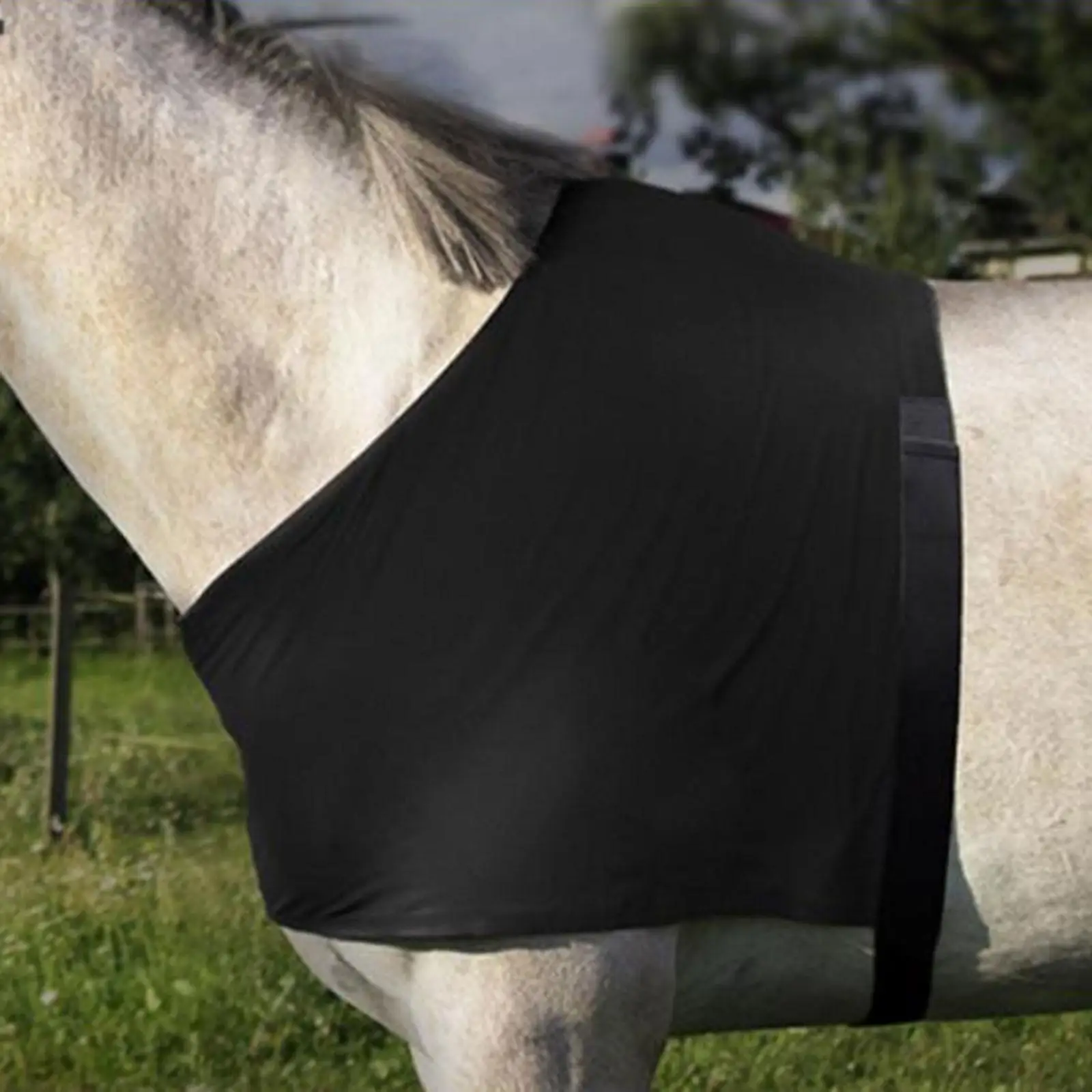 

Horse Shoulder Guard Practical Fitting Easy to Install Reusable Anti Rub Bib